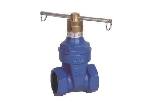 加密鎖閉軟密封閘閥