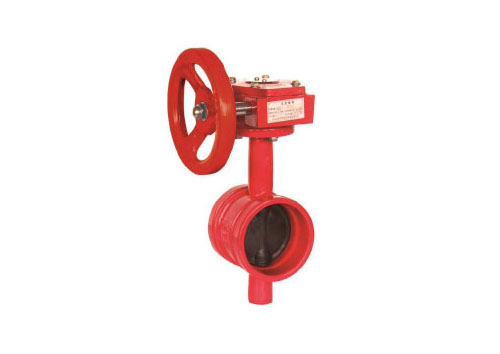 消防蝶閥(對(duì)夾式)