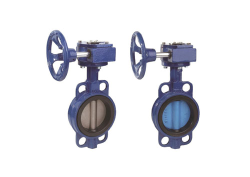 對夾式蝸輪蝶閥