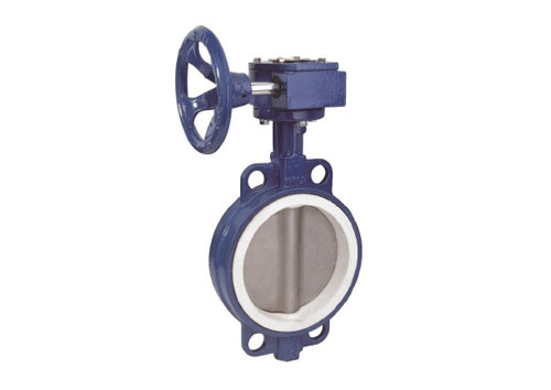 對夾式襯氟蝸輪蝶閥
