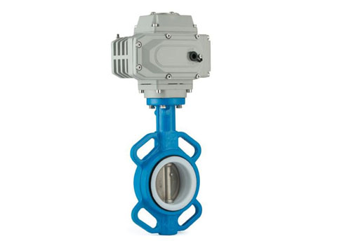 電動(dòng)四氟不銹鋼板蝶閥